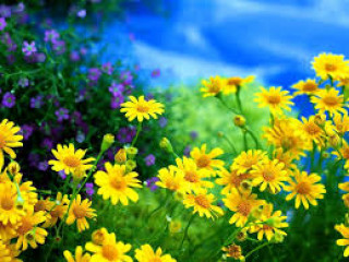 images-33