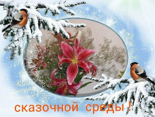 Сказочной_среды_30_01