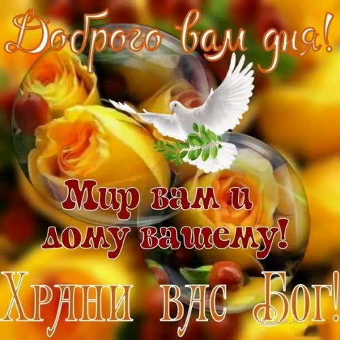 VID-20190131-WA0015