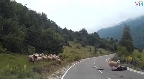 Это_страшно