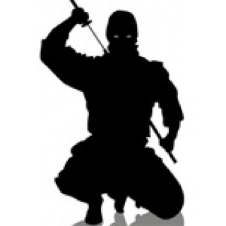 voin_ninja