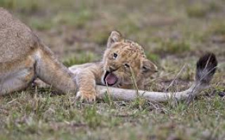 images-9