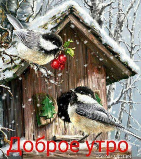 Доброе_утро_03_02