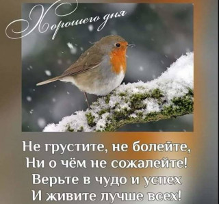 Хорошего_дня_03_