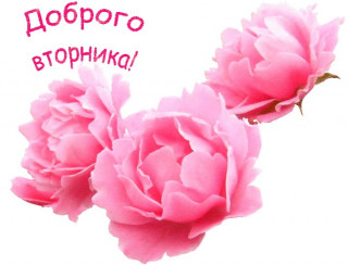 Доброго_вторника_05