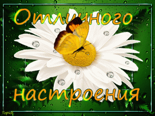 отличного_настроения___