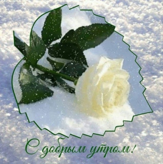 S_dobrym_utrom-07_02