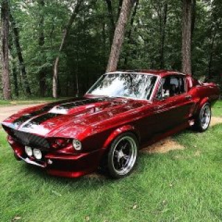 МУСТАНГ ШЕЛБИ