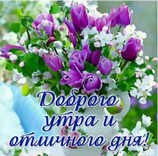 Dobrogo_utra_08