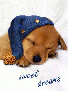 Спокойной_ночи