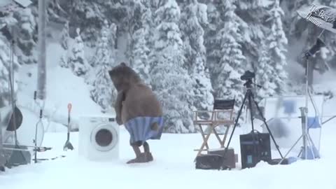 Sejy_na_belujy__uchites