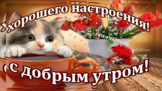 С_добрым_утром_09