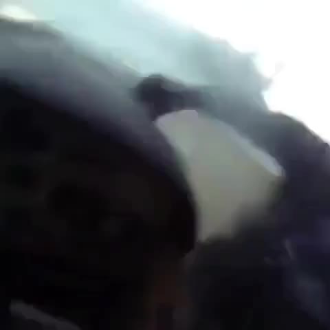 vidmo__YArik_vodila_480