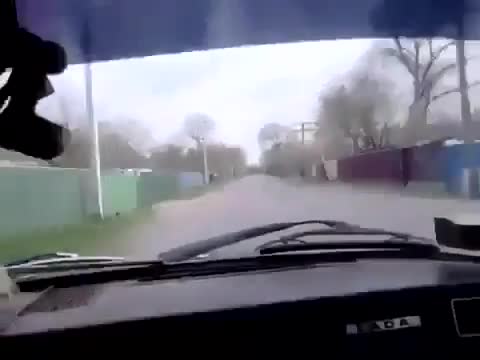 vidmo__YArik_vodila_480_1