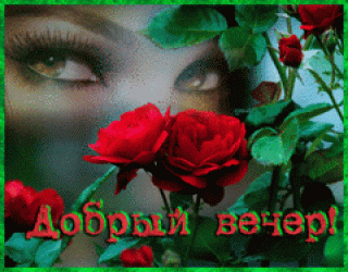 Добрый_вечер_10_02
