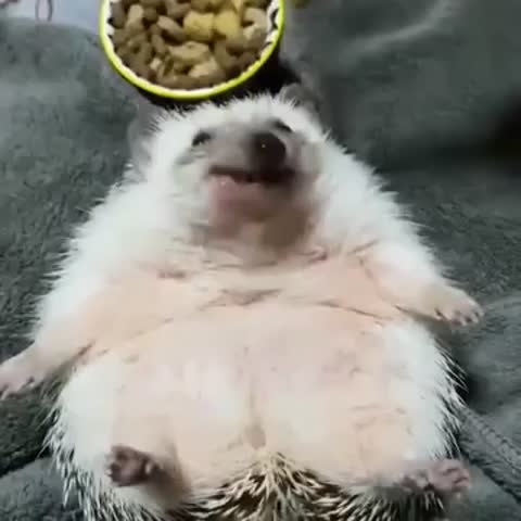 Я красавчик