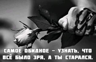 FB_IMG_1549483380305
