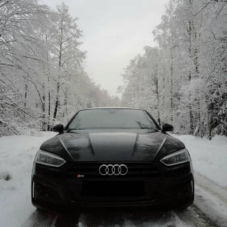 7k4tQJdlsG8