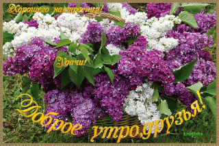 Доброе_утро_друзья_13_02