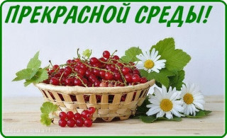 Прекрасной_среды_13_02