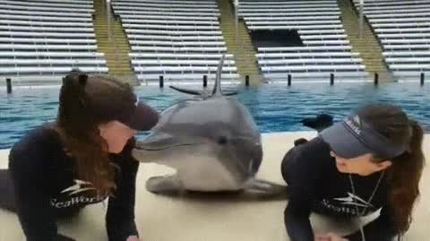 doc159967335_491679915