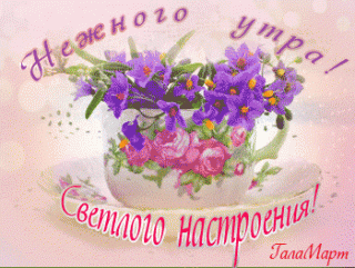 Нежного_утра_14_02