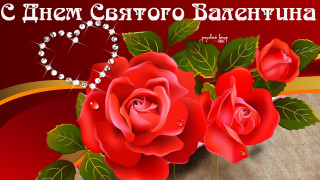 14_февраля