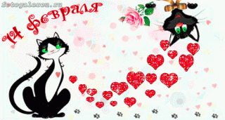 С 14 Февраля