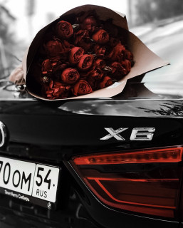 8tXMrYFrx0M