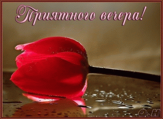 Приятного_вечера_15