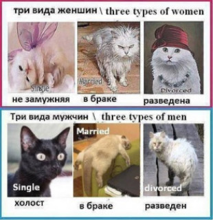 три вида