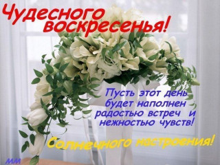 Чудесного_воскресенья_17