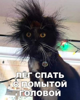 FB_IMG_1550338802607