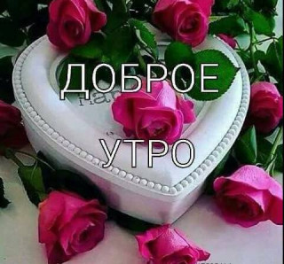Доброе_утро_19_