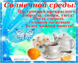 Солнечной_среды_20