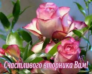 Счастливого_вторника_вам