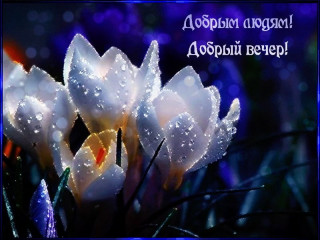 Добрый_вечер_26_02