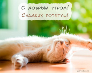 С добрым утром