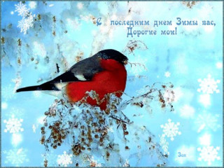С_последним_днём_зимы_28_02