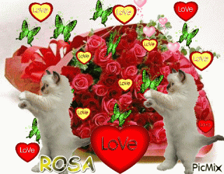 2fb61719534ac9ee6acb042e34faf418