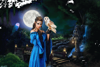 Foiz__image_860708171555387021728