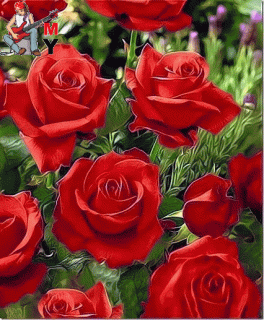 received_2186960234918254