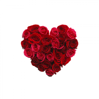 received_2116433858608615