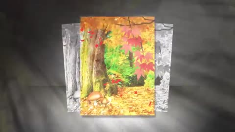 _ЗАМЕТАЕТ_ЛИСТОПАД