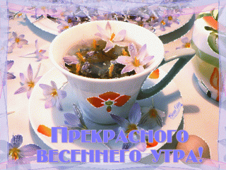 5017-darling27-dobroe-utro-029