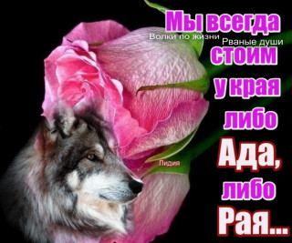 IMG_20190302_111224_15