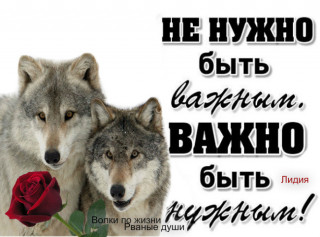 IMG_20190302_111344_22