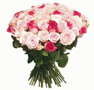 анимация цветов_красиво