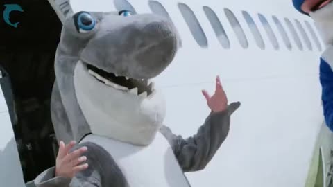 vidmo__Lil_Pump_-_Racks_on_Racks_Premera_Klipa_854