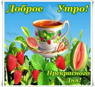Доброе_утро_04_03